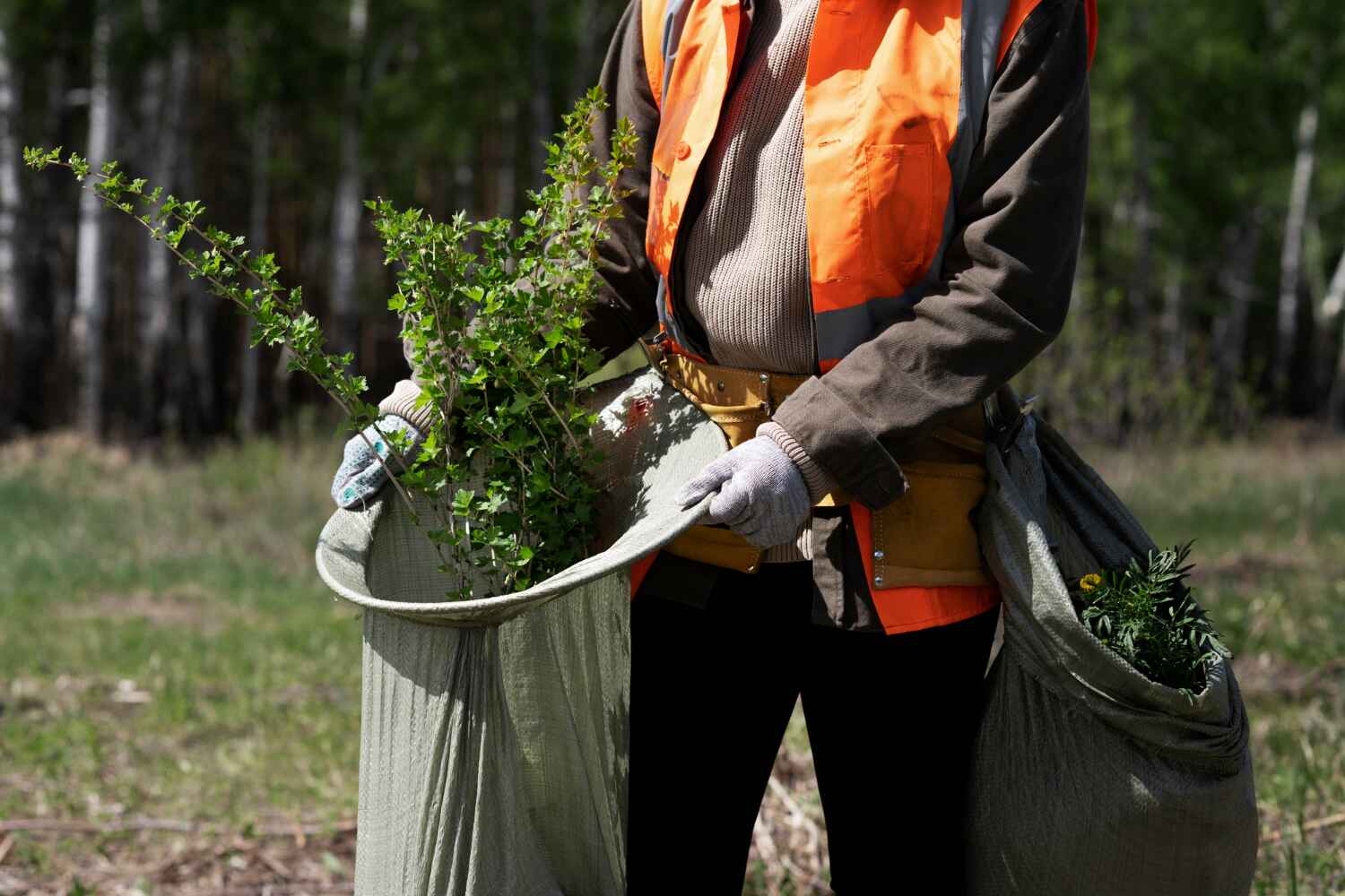 Trusted Richlandtown, PA Tree Service Experts